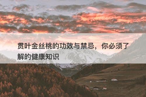 贯叶金丝桃的功效与禁忌，你必须了解的健康知识