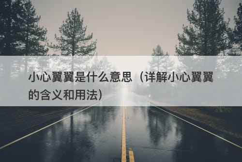 小心翼翼是什么意思（详解小心翼翼的含义和用法）