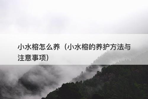 小水榕怎么养（小水榕的养护方法与注意事项）