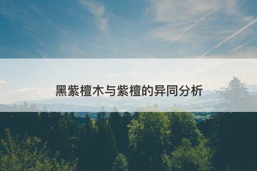 黑紫檀木与紫檀的异同分析