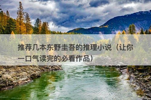 推荐几本东野圭吾的推理小说（让你一口气读完的必看作品）