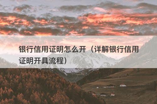 银行信用证明怎么开（详解银行信用证明开具流程）