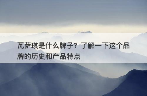 瓦萨琪是什么牌子？了解一下这个品牌的历史和产品特点