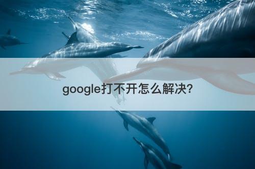google打不开怎么解决？