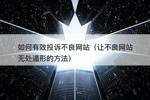 如何有效投诉不良网站（让不良网站无处遁形的方法）