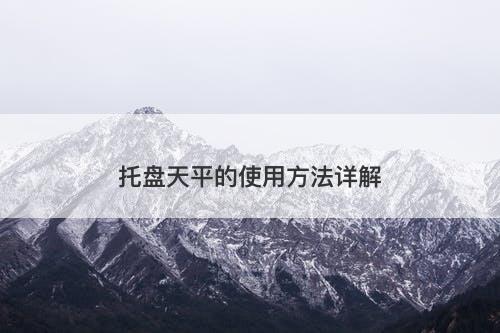 托盘天平的使用方法详解