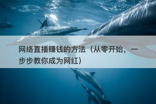 网络直播赚钱的方法（从零开始，一步步教你成为网红）