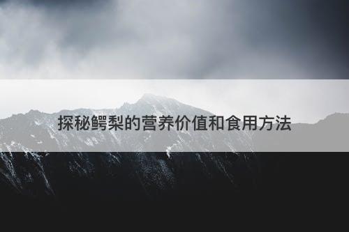 探秘鳄梨的营养价值和食用方法