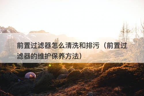 前置过滤器怎么清洗和排污（前置过滤器的维护保养方法）