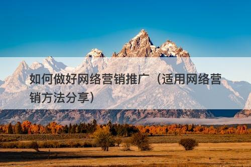 如何做好网络营销推广（适用网络营销方法分享）