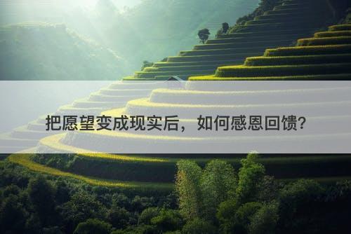 把愿望变成现实后，如何感恩回馈？