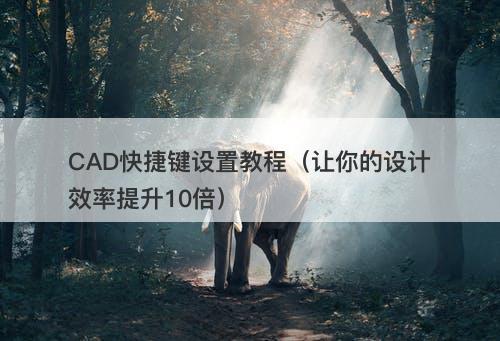 CAD快捷键设置教程（让你的设计效率提升10倍）