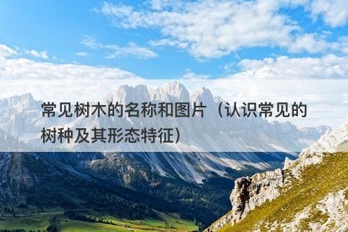 常见树木的名称和图片（认识常见的树种及其形态特征）