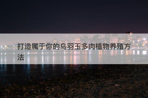 打造属于你的乌羽玉多肉植物养殖方法