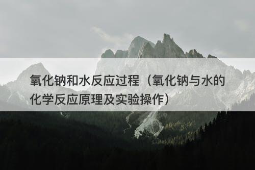 氧化钠和水反应过程（氧化钠与水的化学反应原理及实验操作）