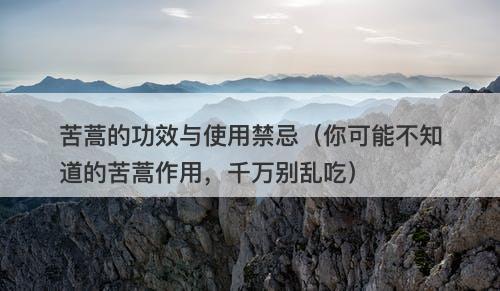 苦蒿的功效与使用禁忌（你可能不知道的苦蒿作用，千万别乱吃）