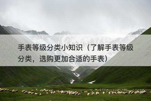 手表等级分类小知识（了解手表等级分类，选购更加合适的手表）