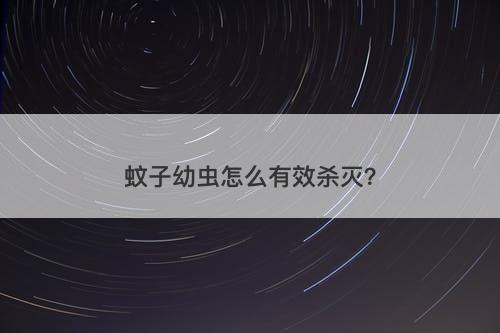 蚊子幼虫怎么有效杀灭？