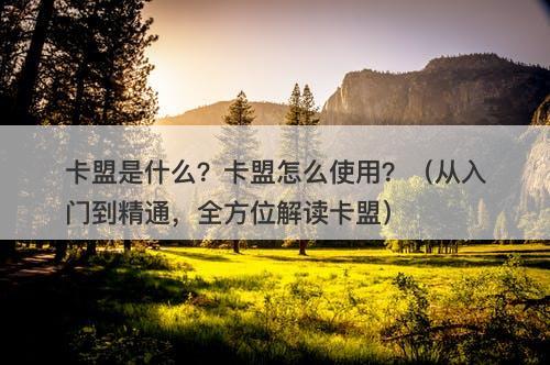卡盟是什么？卡盟怎么使用？（从入门到精通，全方位解读卡盟）