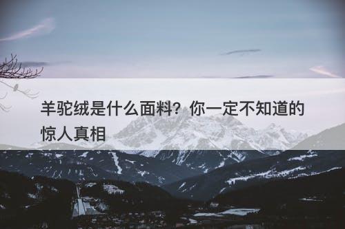 羊驼绒是什么面料？你一定不知道的惊人真相