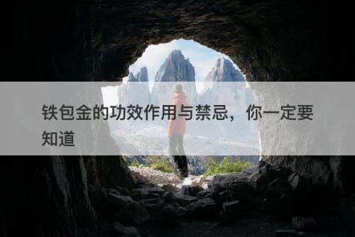 铁包金的功效作用与禁忌，你一定要知道