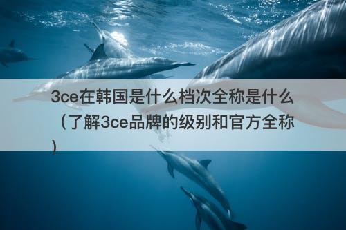 3ce在韩国是什么档次全称是什么（了解3ce品牌的级别和官方全称）