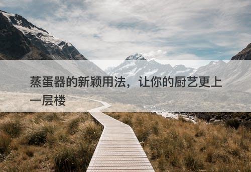 蒸蛋器的新颖用法，让你的厨艺更上一层楼