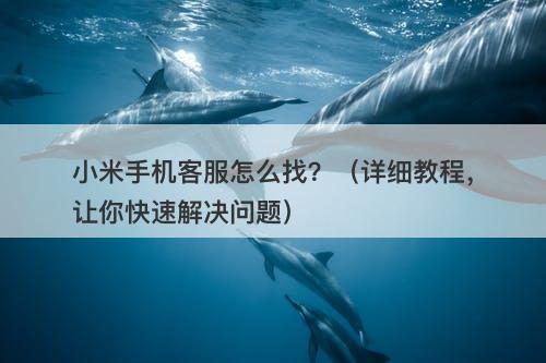 小米手机客服怎么找？（详细教程，让你快速解决问题）