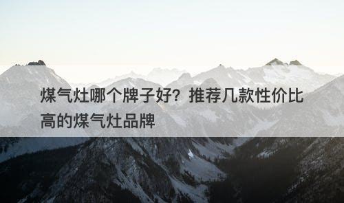 煤气灶哪个牌子好？推荐几款性价比高的煤气灶品牌