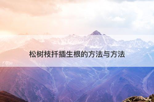 松树枝扦插生根的方法与方法