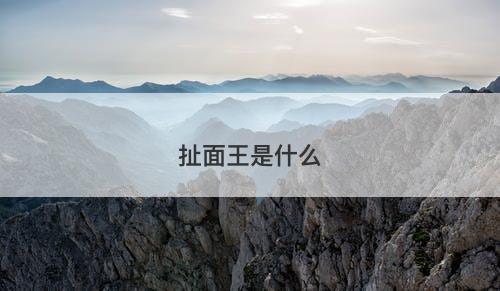 扯面王是什么