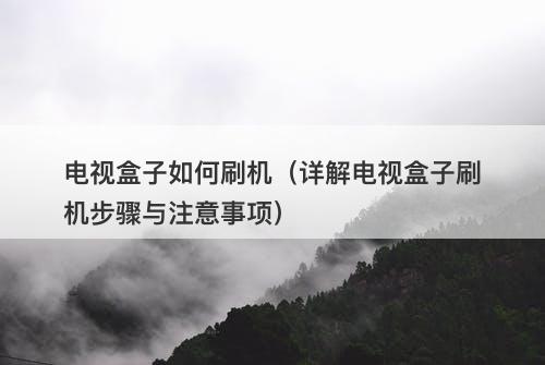 电视盒子如何刷机（详解电视盒子刷机步骤与注意事项）