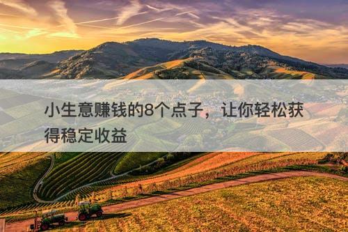小生意赚钱的8个点子，让你轻松获得稳定收益