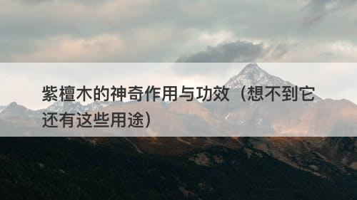 紫檀木的神奇作用与功效（想不到它还有这些用途）