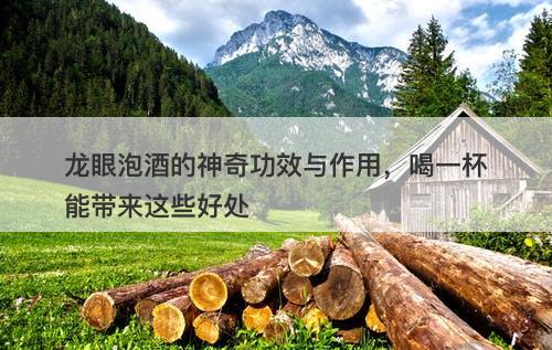 龙眼泡酒的神奇功效与作用，喝一杯能带来这些好处