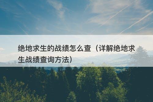 绝地求生的战绩怎么查（详解绝地求生战绩查询方法）