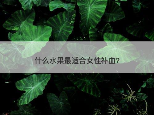 什么水果最适合女性补血？
