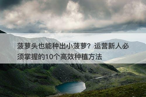 菠萝头也能种出小菠萝？运营新人必须掌握的10个高效种植方法