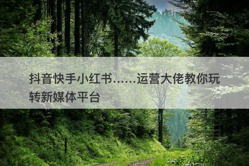 抖音快手小红书……运营大佬教你玩转新媒体平台