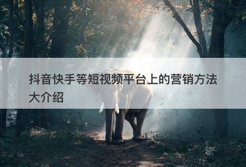 抖音快手等短视频平台上的营销方法大介绍