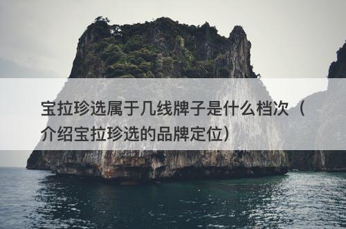 宝拉珍选属于几线牌子是什么档次（介绍宝拉珍选的品牌定位）