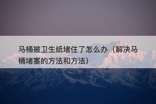 马桶被卫生纸堵住了怎么办（解决马桶堵塞的方法和方法）