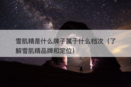 雪肌精是什么牌子属于什么档次（了解雪肌精品牌和定位）