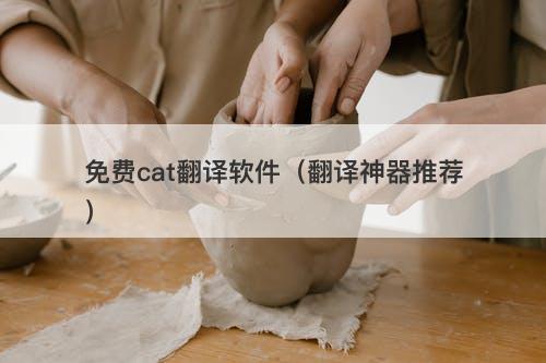 免费cat翻译软件（翻译神器推荐）