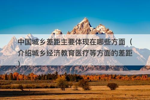 中国城乡差距主要体现在哪些方面（介绍城乡经济教育医疗等方面的差距）