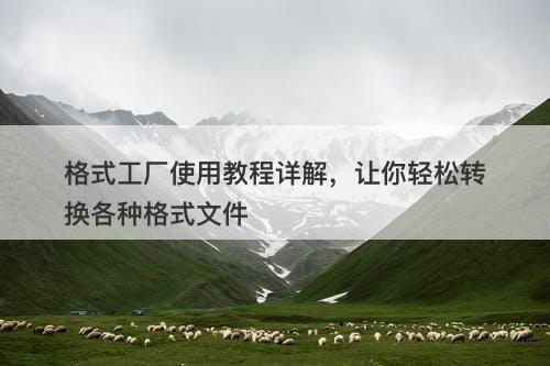 格式工厂使用教程详解，让你轻松转换各种格式文件