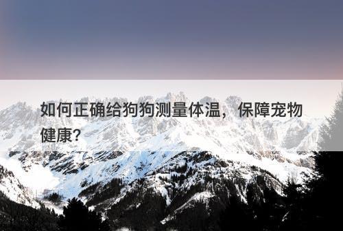 如何正确给狗狗测量体温，保障宠物健康？