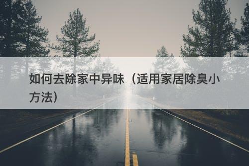 如何去除家中异味（适用家居除臭小方法）