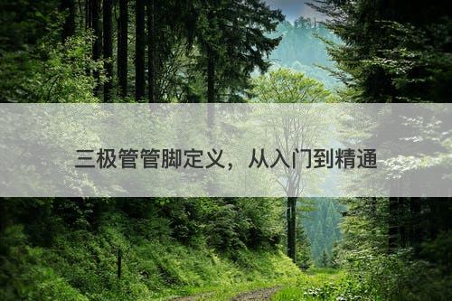 三极管管脚定义，从入门到精通