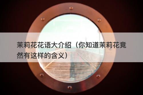 茉莉花花语大介绍（你知道茉莉花竟然有这样的含义）